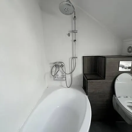 Apartment Big Attic Near Tauron Arena