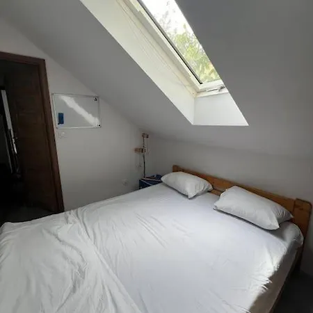Big Attic Near Tauron Arena Apartment *