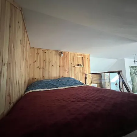 Daire Big Attic Near Tauron Arena Krakow