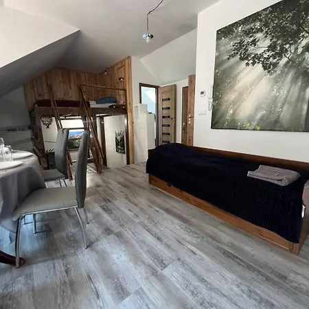 Daire Big Attic Near Tauron Arena Krakow